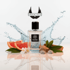 Invictus (Simulation)