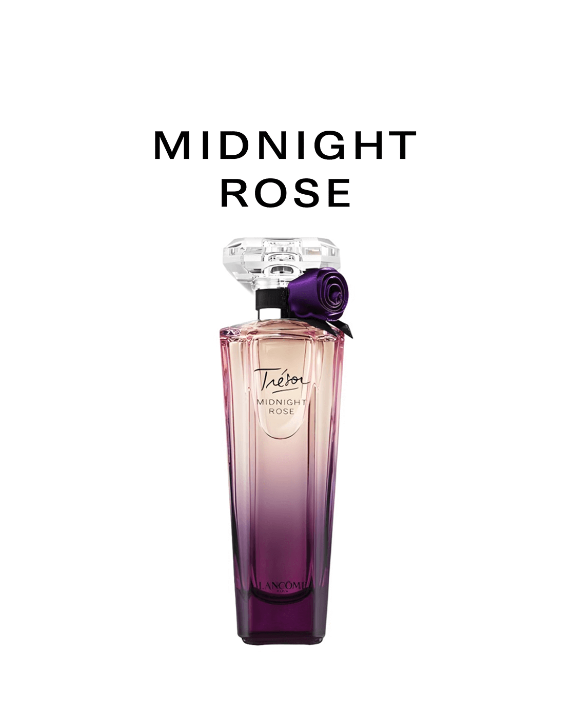 Trésor Midnight Rose (Simulation)
